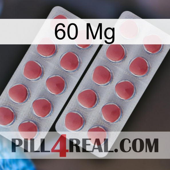 60Mg 19.jpg